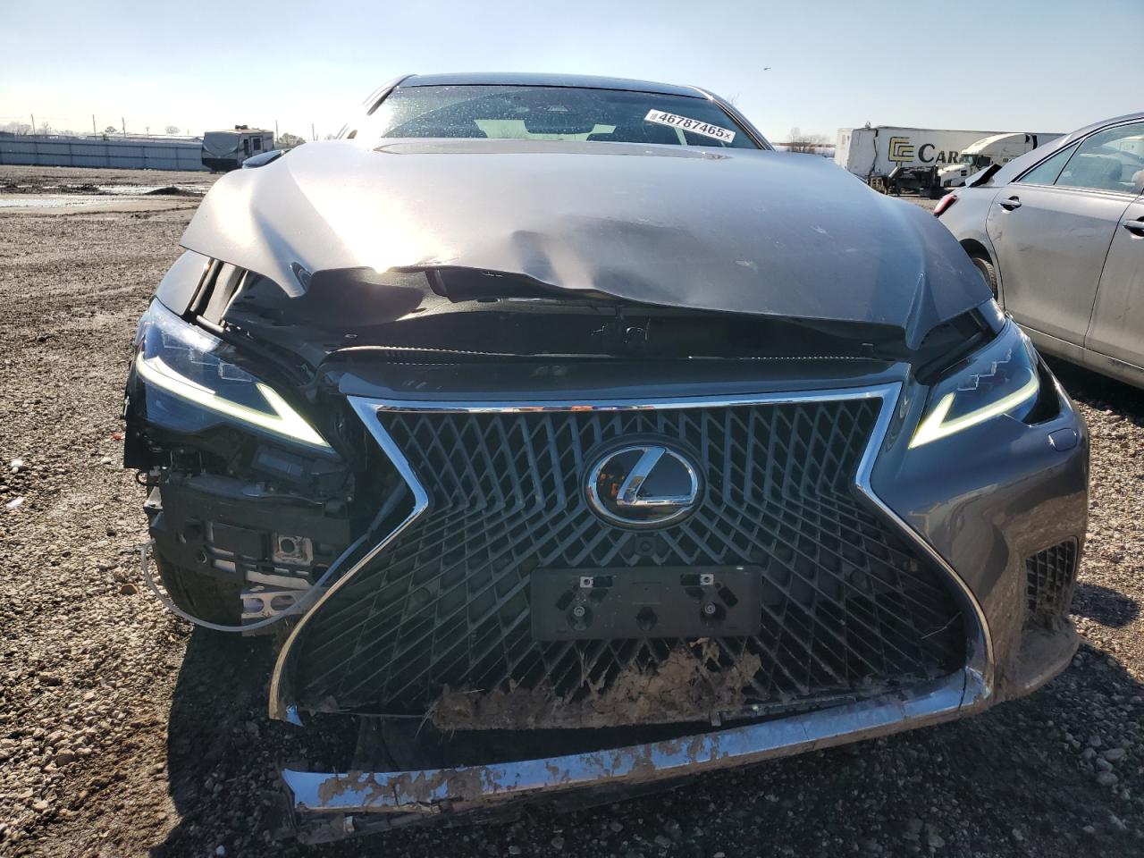 2023 Lexus LS - Image 5