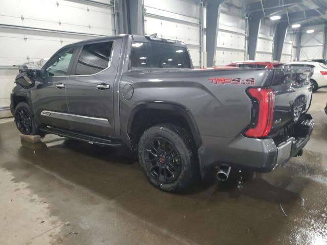 TOYOTA TUNDRA 2024 Szary