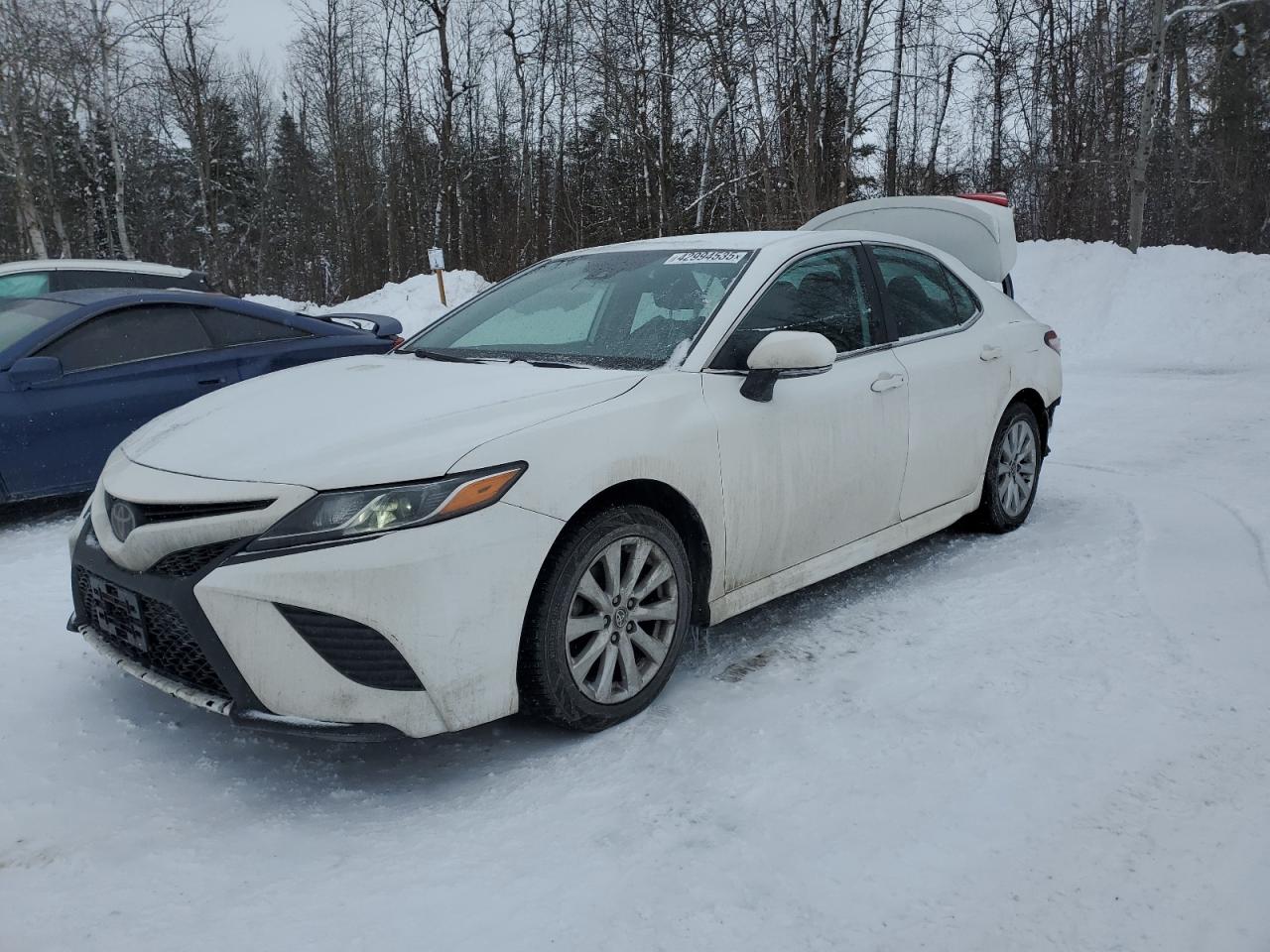 2020 Toyota Camry - Image 1