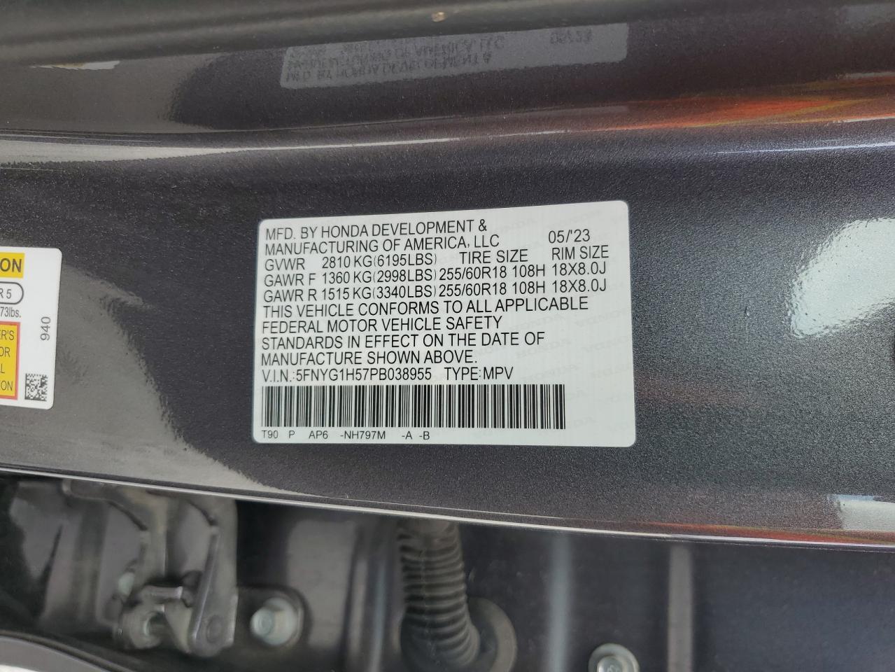 5FNYG1H57PB038955 HONDA PILOT 2023