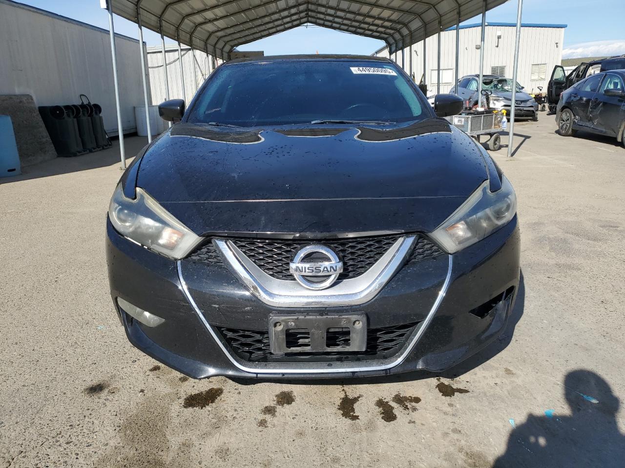 1N4AA6AP5GC425079 NISSAN MAXIMA 2016