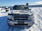 2008 Ford Escape Limited продається в Airway Heights, WA - Rear End