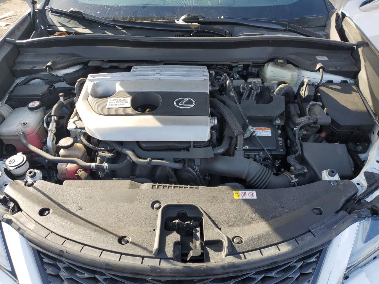 2019 Lexus UX - Image 12