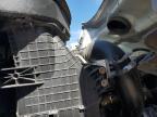 2022 Freightliner Cascadia Semi Truck for Sale in Amarillo, TX - All Over