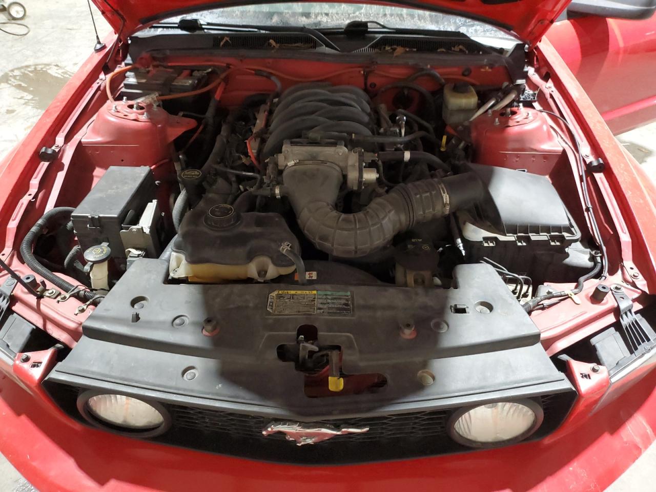 2005 Ford Mustang - Image 12