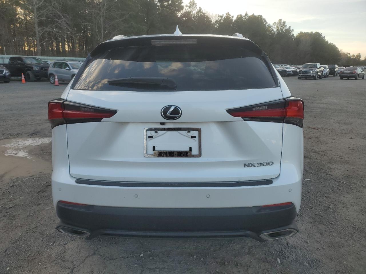 2018 Lexus NX - Image 6