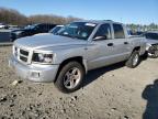 2011 Dodge Dakota Slt للبيع في Windsor، NJ - Rear End