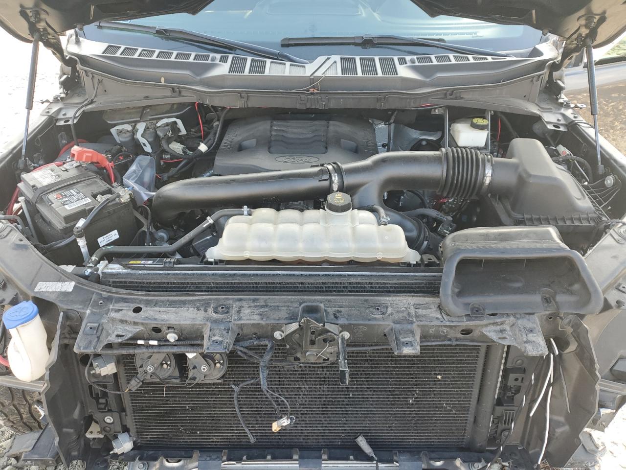 1FTFW1E81MKD21181 FORD F-150 2021