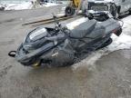 2023 Skidoo Mxz Blizza للبيع في Center Rutland، VT - All Over