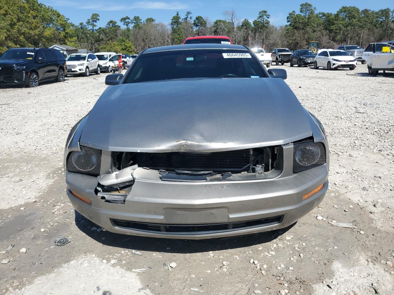 2009 Ford Mustang - Image 5