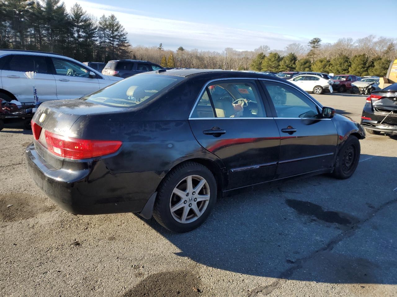 2005 Honda Accord - Image 3