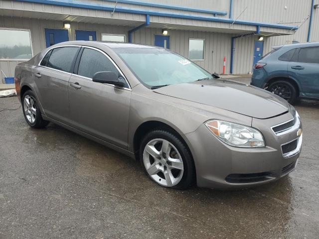  CHEVROLET MALIBU 2012 Колір засмаги