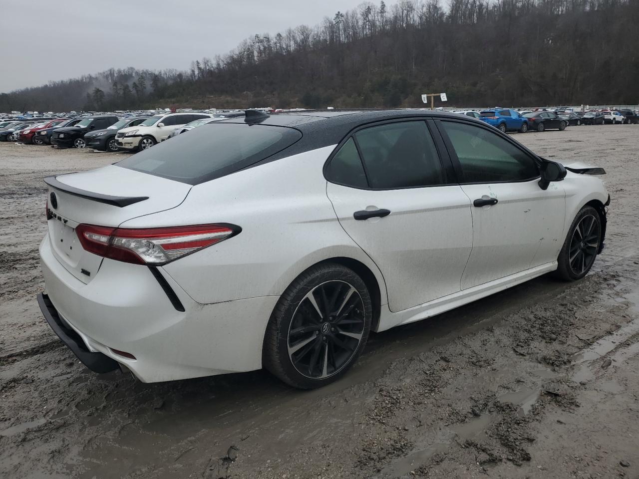 2019 Toyota Camry - Image 3
