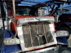 2019 Peterbilt 389  for Sale in Louisville, KY - Front End