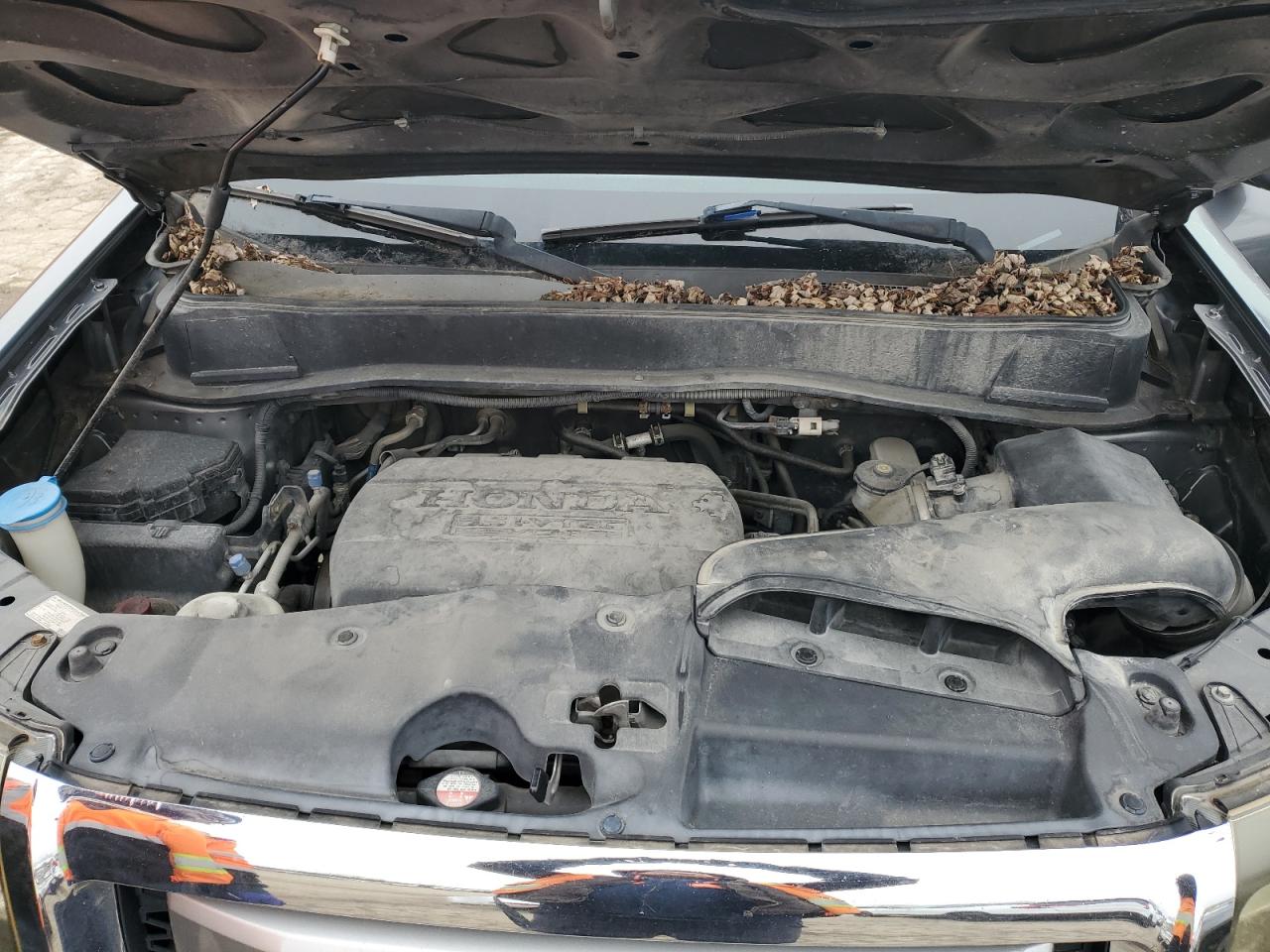 2011 Honda Pilot - Image 12
