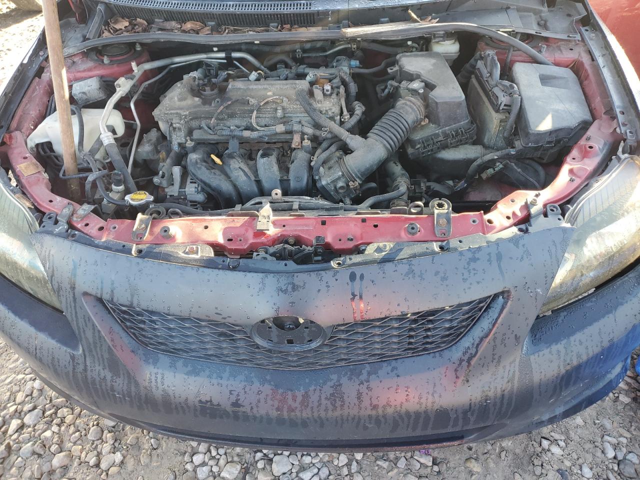 2009 Toyota Corolla - Image 11