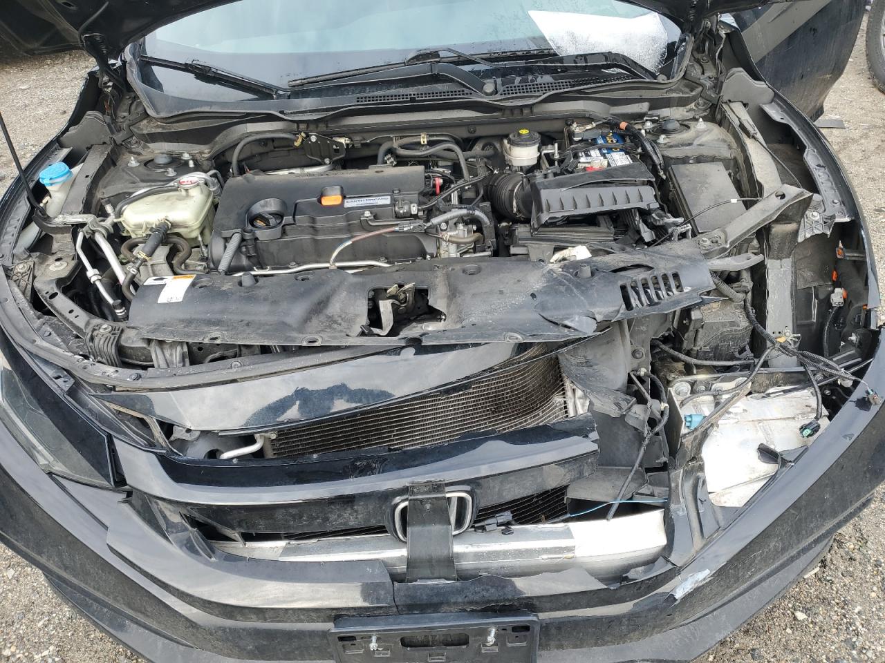 2HGFC2F86KH515479 HONDA CIVIC 2019