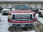 2010 Ford F150 Supercrew na sprzedaż w Louisville, KY - Front End