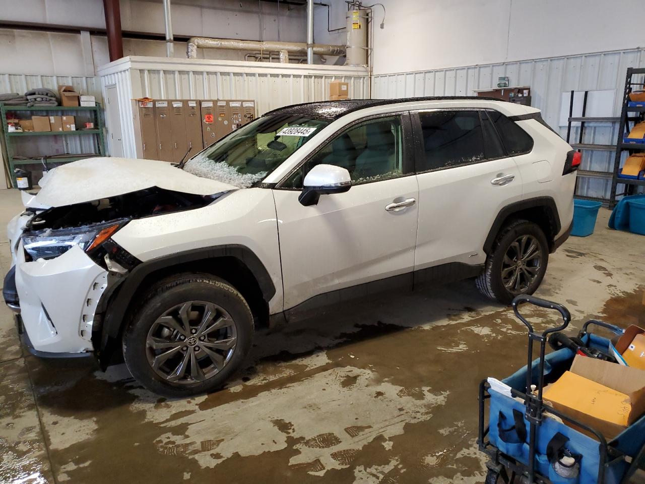 JTMD6RFV0RD553910 TOYOTA RAV4 2024