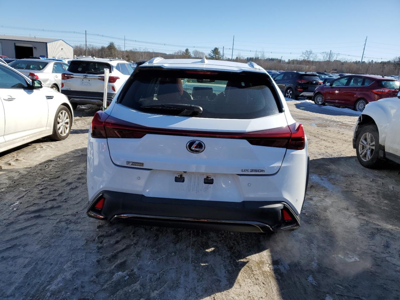 2019 Lexus UX - Image 6