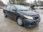 2010 Toyota Corolla Base للبيع في Mendon، MA - Front End