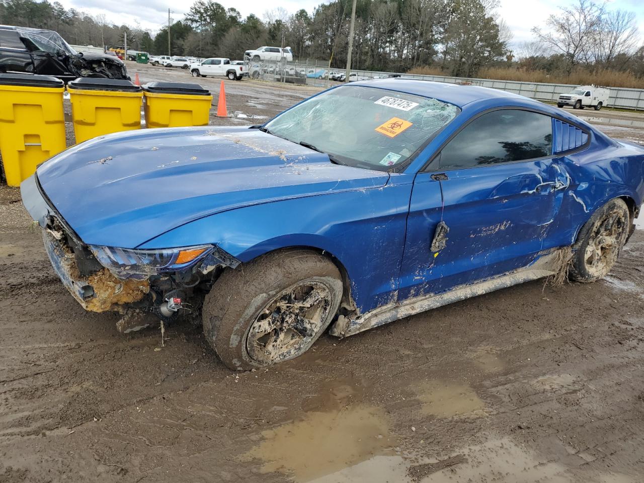 1FA6P8AMXH5246659 FORD ALL Models 2017