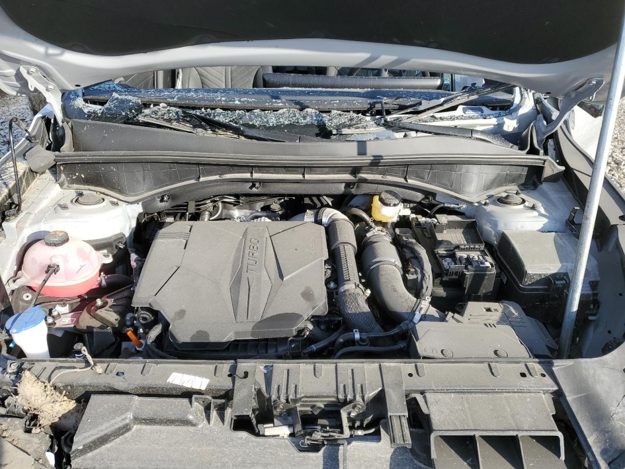 2024 Kia Sorento - Image 12