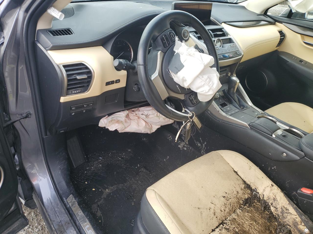 2019 Lexus NX - Image 8