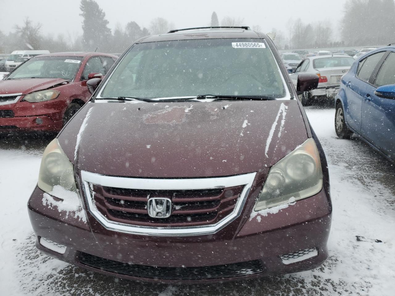 2010 Honda Odyssey - Image 5