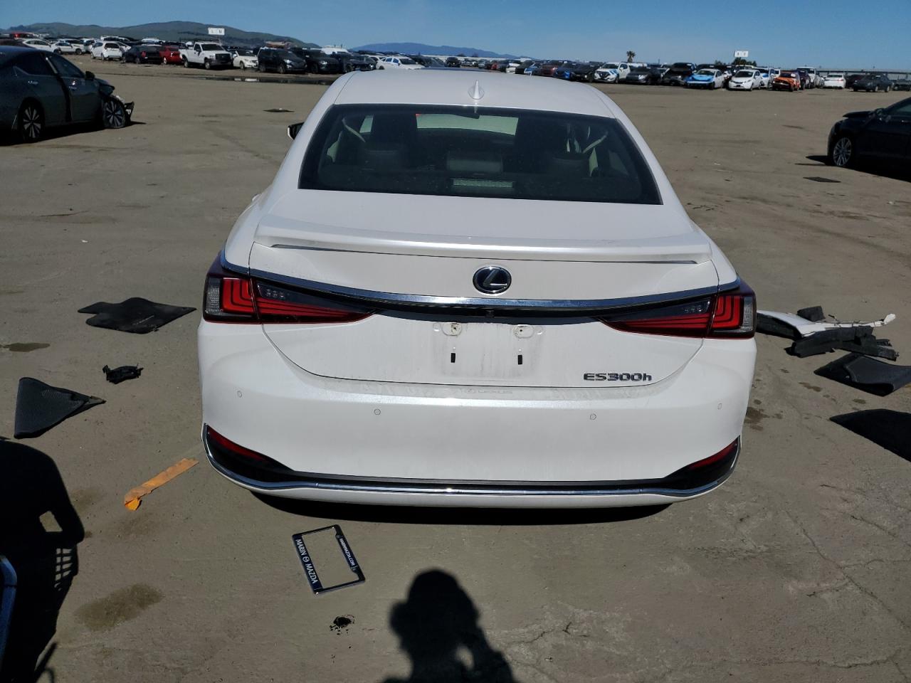 2019 Lexus ES - Image 6