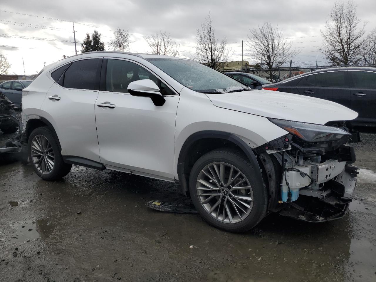 2023 Lexus NX - Image 4