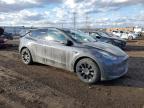 2022 Tesla Model Y  for Sale in Elgin, IL - Rear End