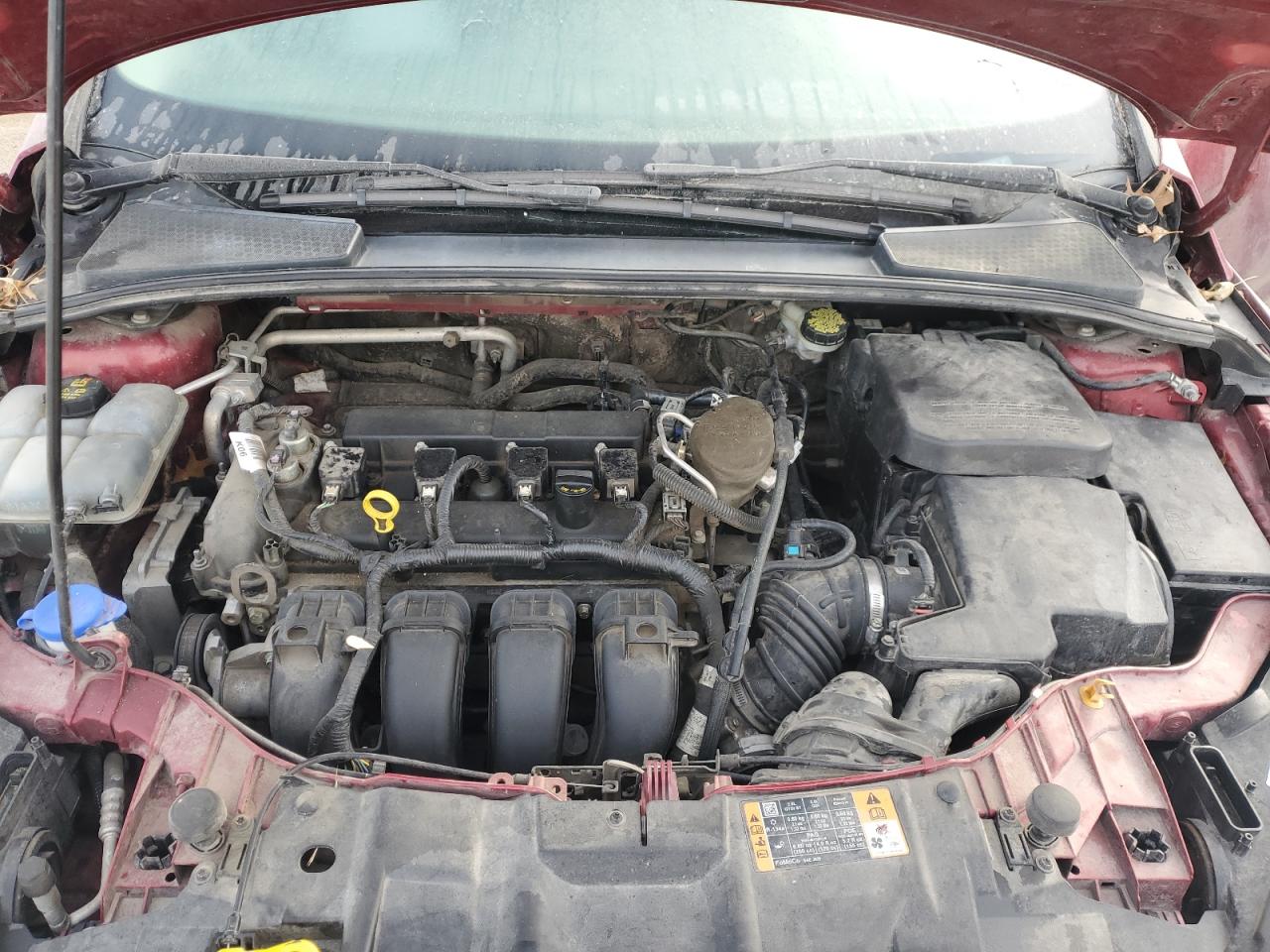 1FADP3F26GL238781 FORD FOCUS 2016