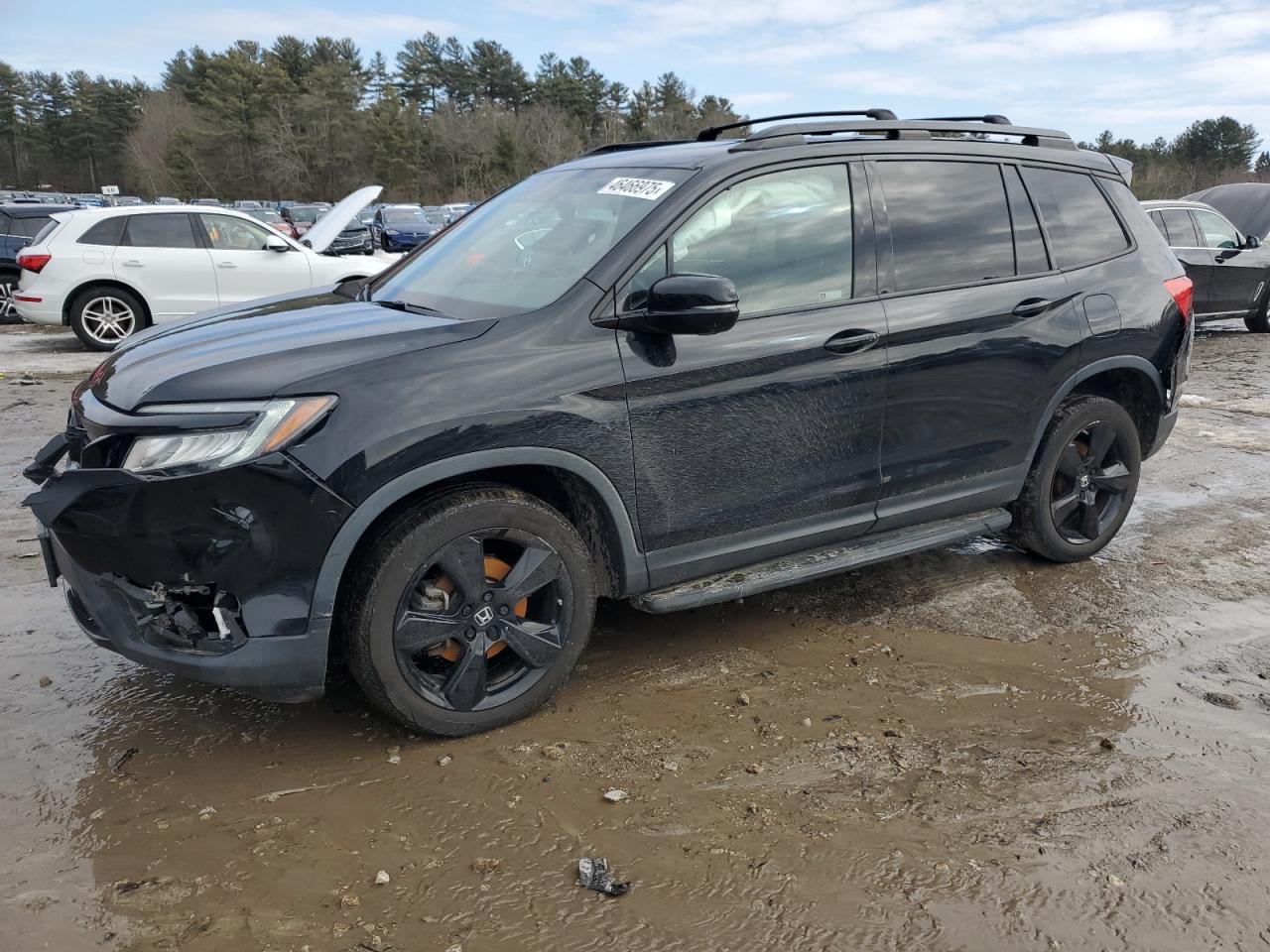 2019 Honda Passport Elite for Sale in Mendon, MA - Front End