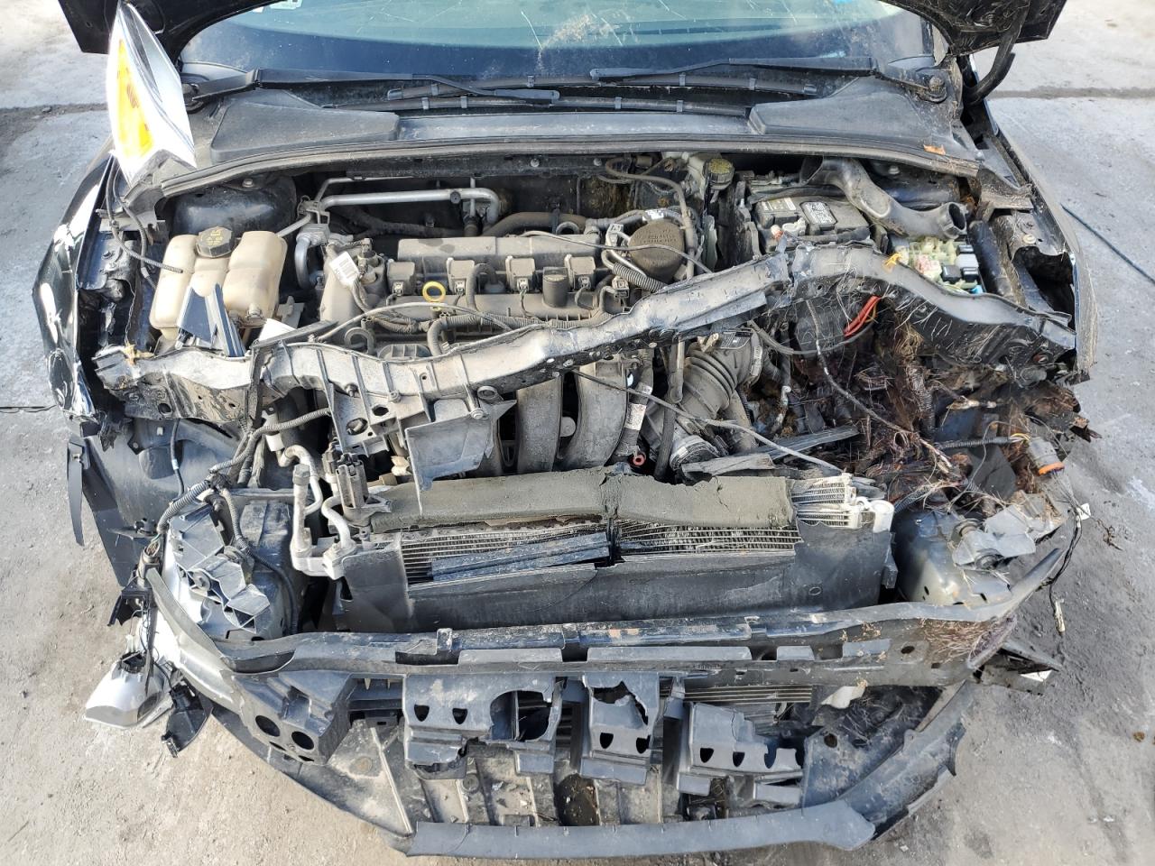 2016 Ford Focus - Image 11