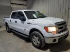 2013 Ford F150 Supercrew en Venta en Hurricane, WV - Minor Dent/Scratches