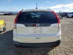 2012 Honda Cr-V Exl for Sale in Anderson, CA - Front End