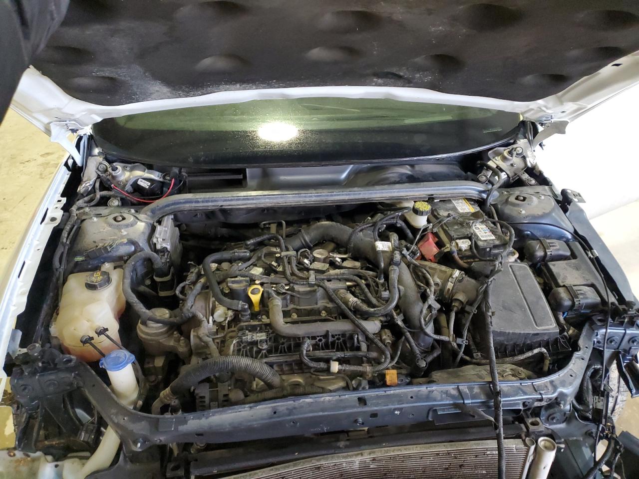 3FA6P0HD4KR249813 FORD FUSION 2019