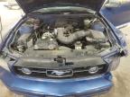 2006 Ford Mustang  for Sale in Sandston, VA - Front End
