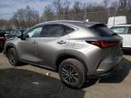 2024 Lexus Nx 350 Premium იყიდება Waldorf-ში, MD - Front End