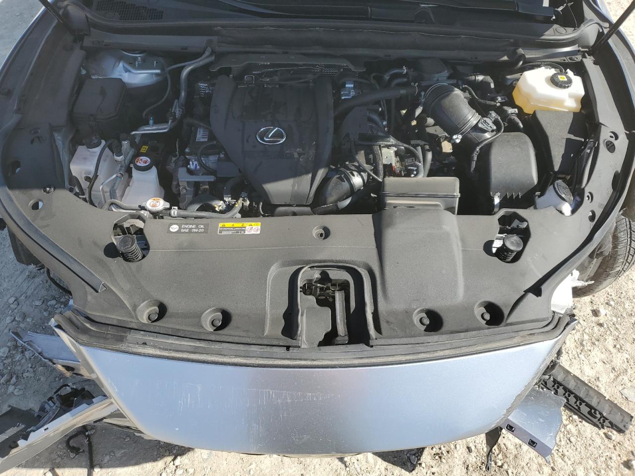 2024 Lexus RX - Image 13