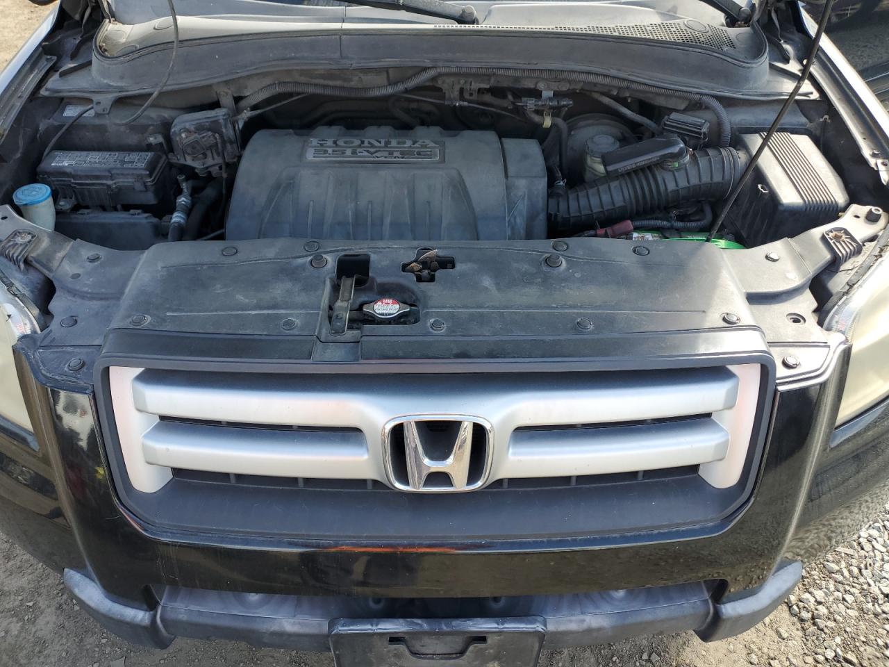 2007 Honda Pilot Exl VIN: 5FNYF28597B025164 Lot: 46801065