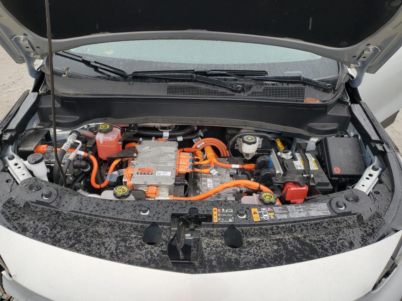 1G1FY6S04P4141121 CHEVROLET BOLT 2023