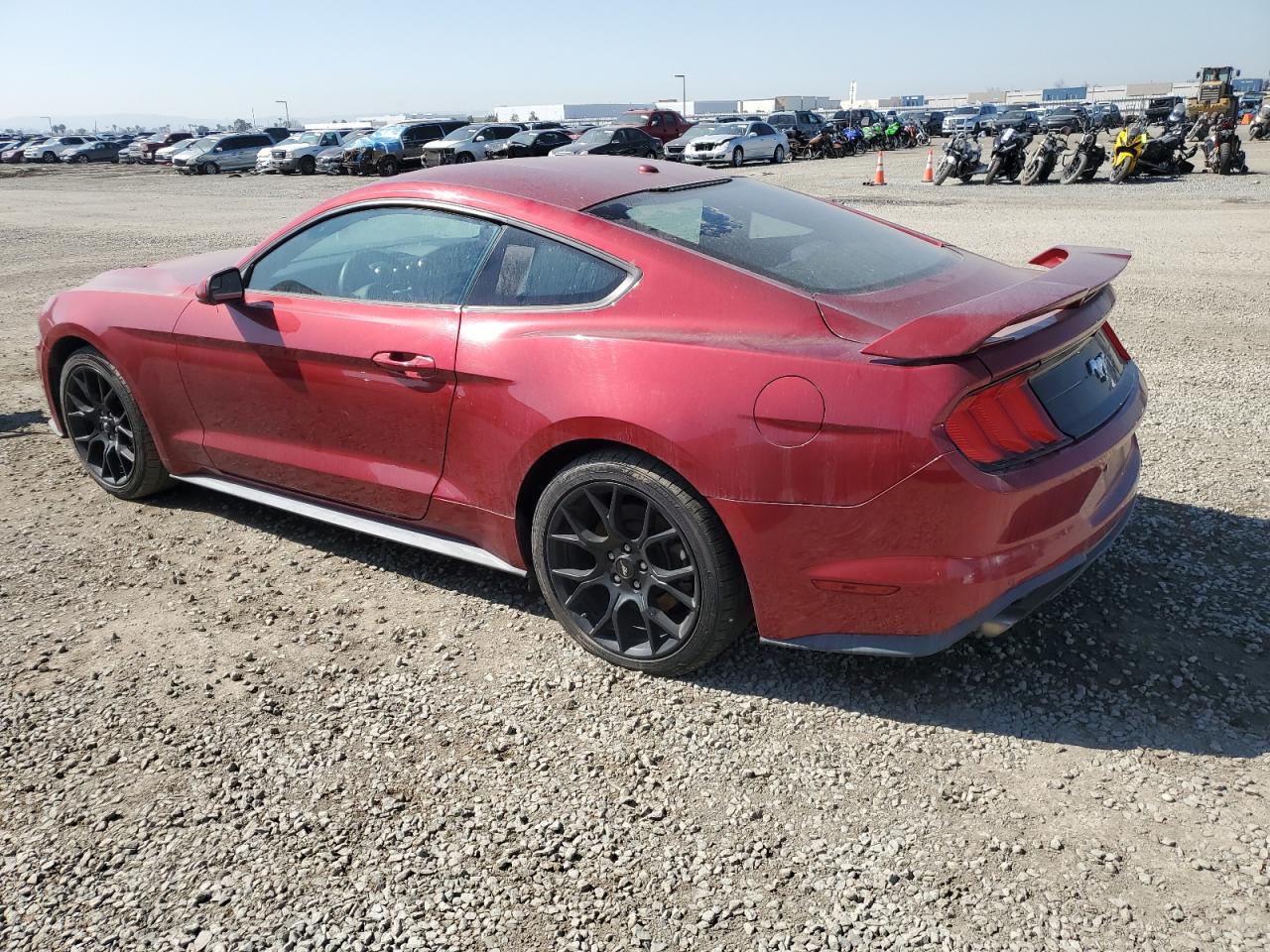 1FA6P8THXK5130823 FORD ALL Models 2019