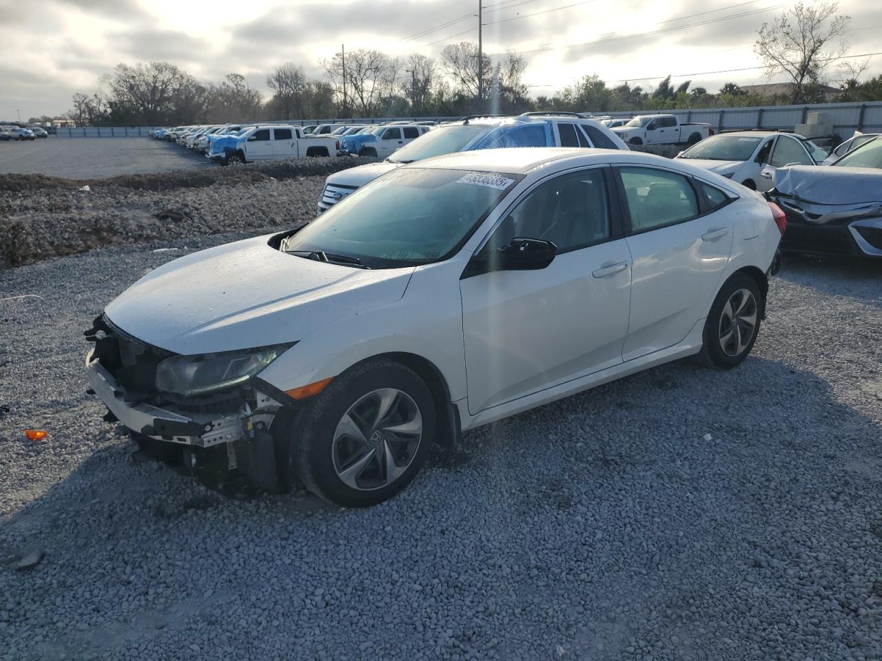 19XFC2F61LE010069 HONDA CIVIC 2020