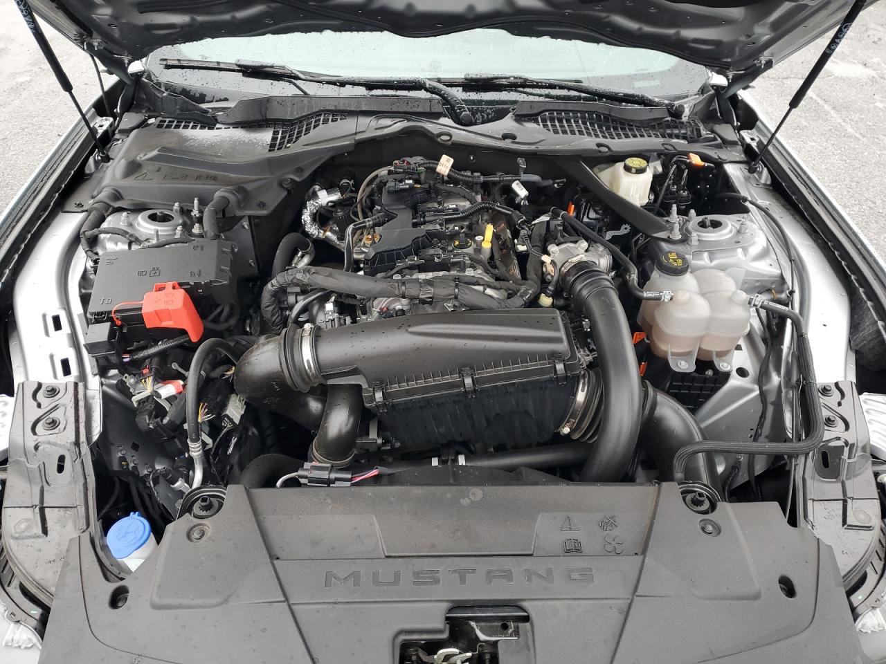 1FAGP8UH7R5133675 FORD ALL Models 2024