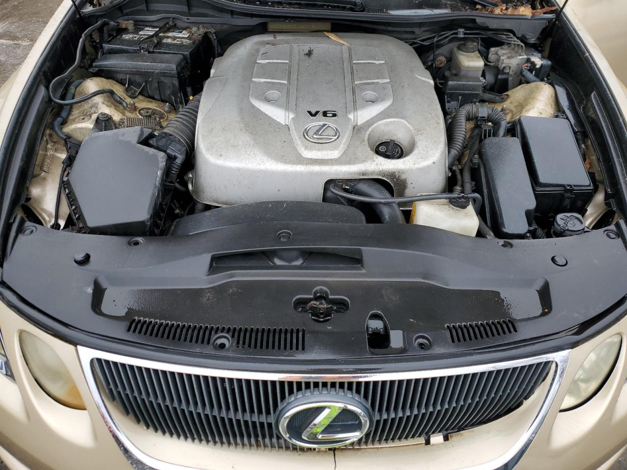 2006 Lexus Gs 300 VIN: JTHBH96S465003248 Lot: 88803045