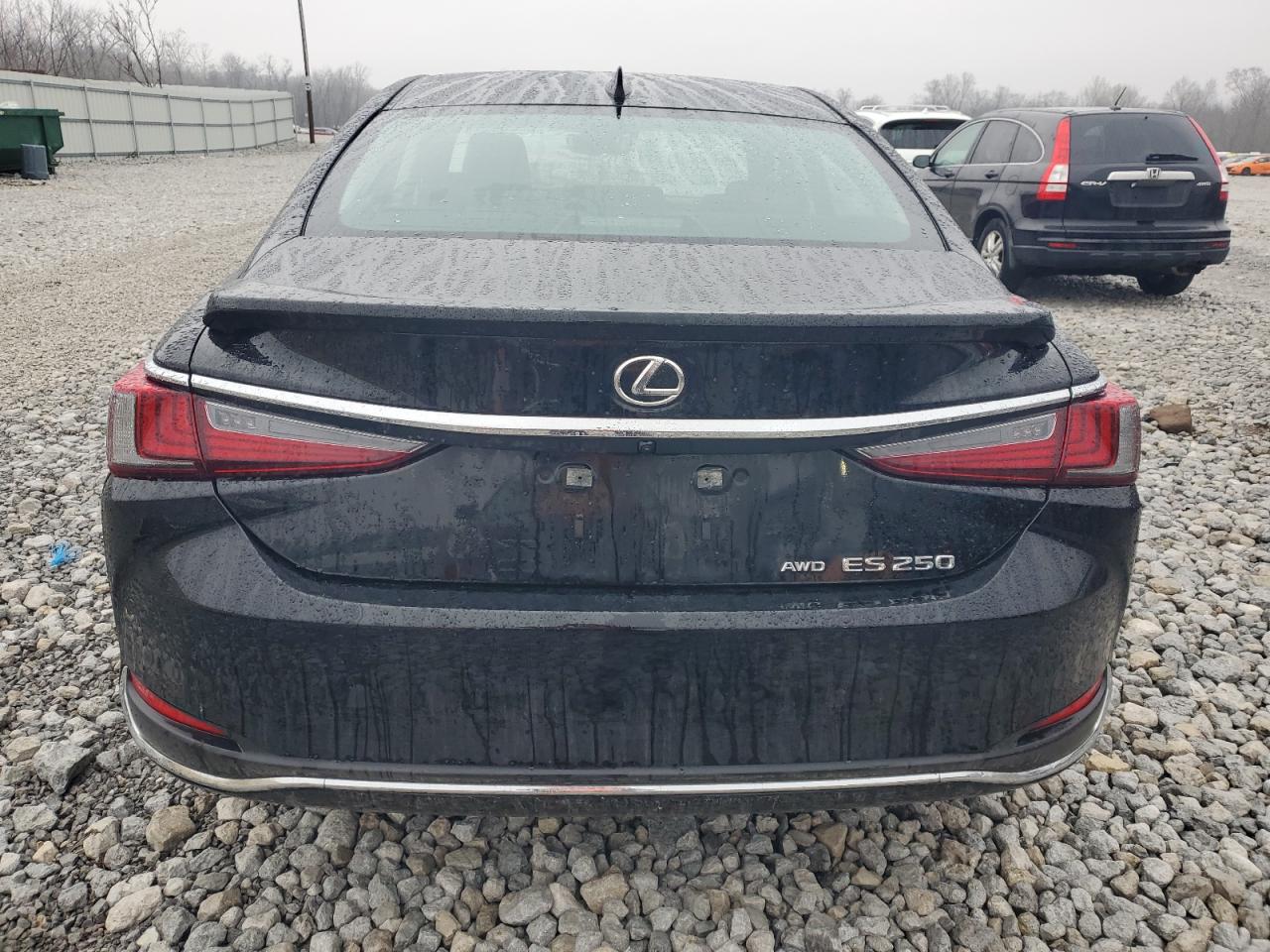 2024 Lexus ES - Image 6