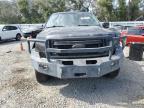 2014 FORD F150 SUPERCREW à vendre chez Copart FL - TAMPA SOUTH