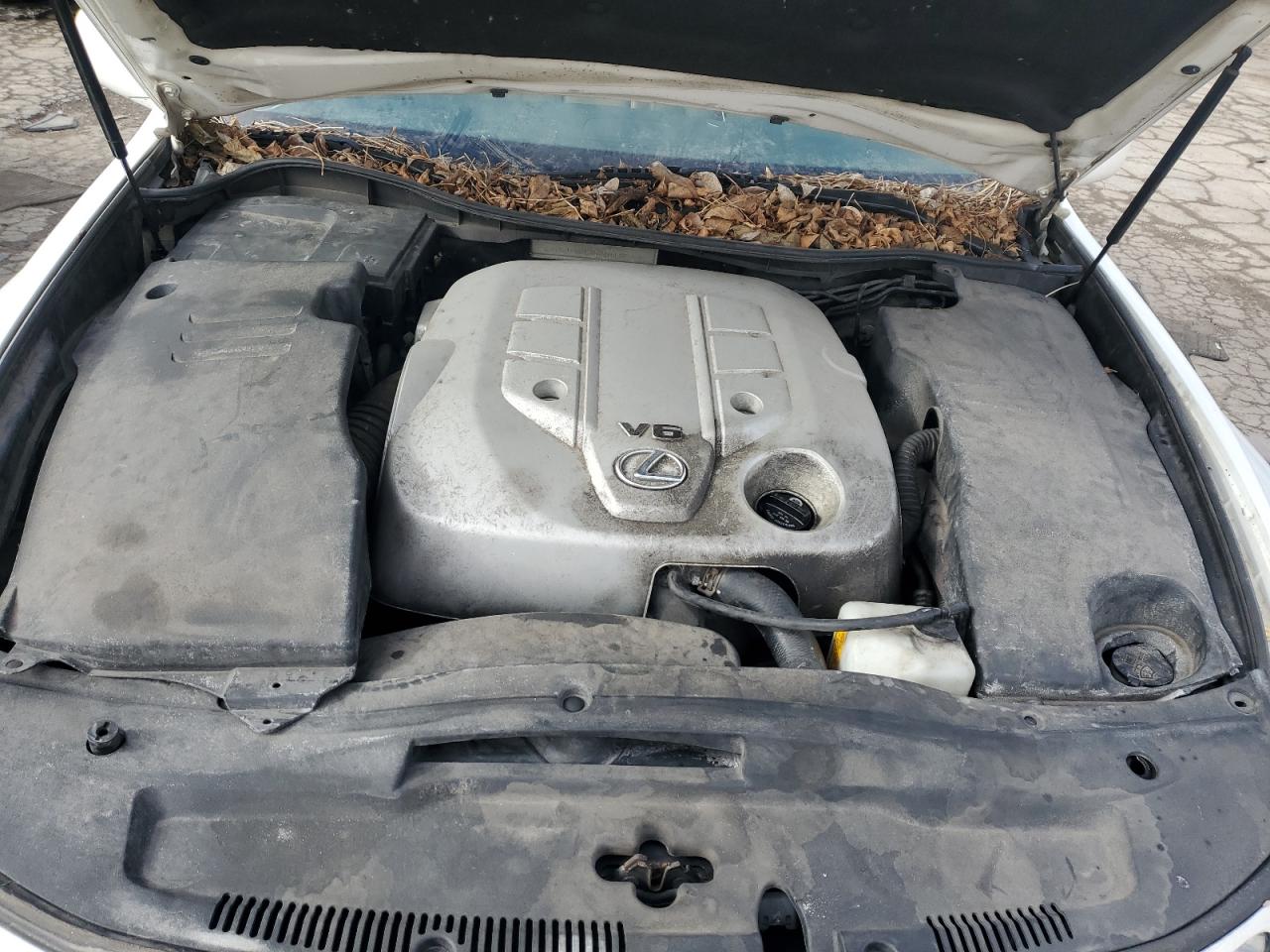 2006 Lexus Gs 300 VIN: JTHBH96S365019540 Lot: 43874785